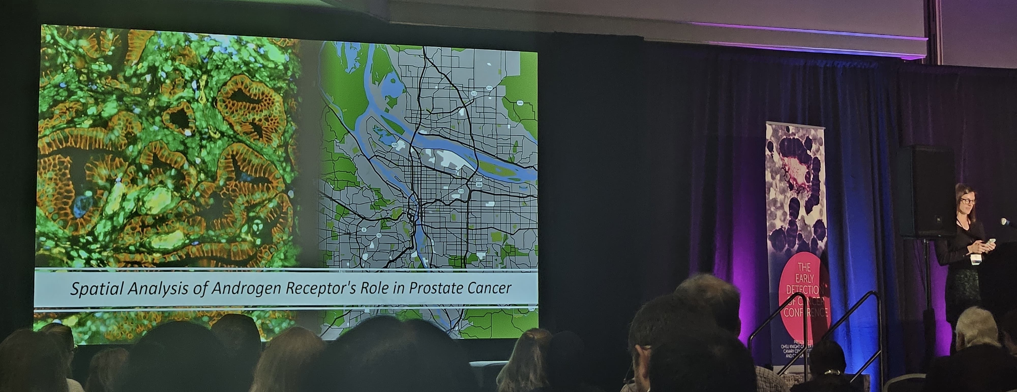 Spatial analysis poster presentation